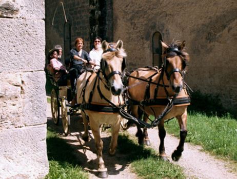 Location de calèches, campagne, promenade